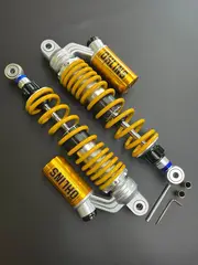 Dorado